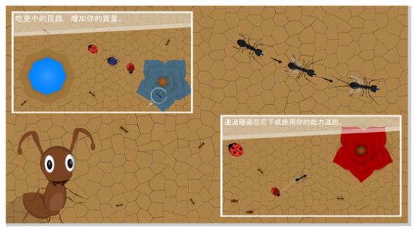 蚂蚁进化世界 特技 天赋 天气 危险 昆虫 蚂蚁军团 闯关 军团 趣味 进化 手机游戏  第3张