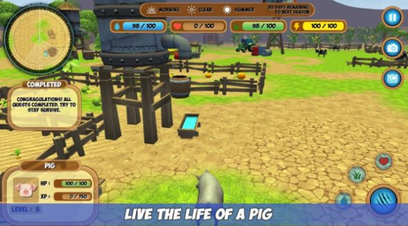 一头猪模拟器 陷阱 小猪 养殖 游泳 去就 彩蛋 征途 疯狂的 模拟器 模拟 手机游戏  第1张