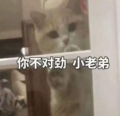 抖音你不对劲是什么梗 猫猫 搞怪 小老弟 表情图 表情 猫咪 小猫 短视频 抖音短视频 抖音 新闻资讯  第2张