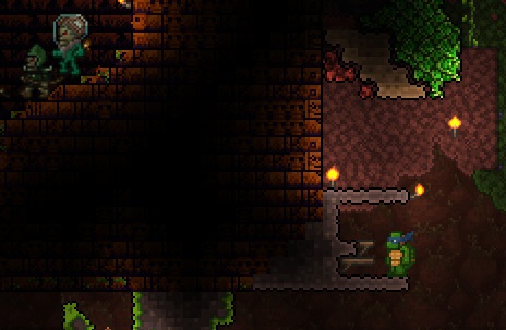 泰拉瑞亚神庙进入方法 泰拉瑞亚神庙怎么进？ 游戏玩家 lem ole 变形 高度 告诉 和平 就去 形状 站在 生存类游戏 人物 锤子 瑞亚 神庙 泰拉瑞亚 新闻资讯  第2张