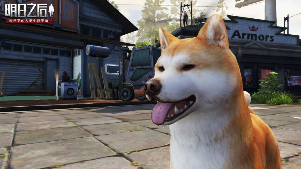 《明日之后》狗狗系统全面升级 8月20日全新秋田犬上线！ 危机 外观 艰难 b4 辅助 c9 d5 性格 主人 末世 igi tap 明日之后 cod ps 明日 幸存者 狗狗 新闻资讯  第2张
