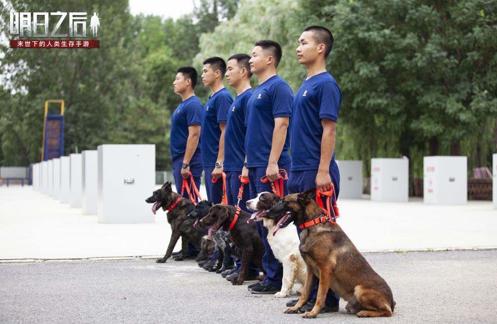 《明日之后》狗狗系统全面升级 8月20日全新秋田犬上线！ 危机 外观 艰难 b4 辅助 c9 d5 性格 主人 末世 igi tap 明日之后 cod ps 明日 幸存者 狗狗 新闻资讯  第3张