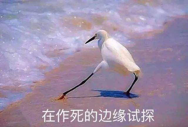 王者荣耀主播蓝烟用女友口红当笔教铭文 网友：是TF16你就完蛋了！ f1 边缘 作死 在直播 完蛋了 王者荣耀 女友 口红 主播 铭文 新闻资讯  第3张