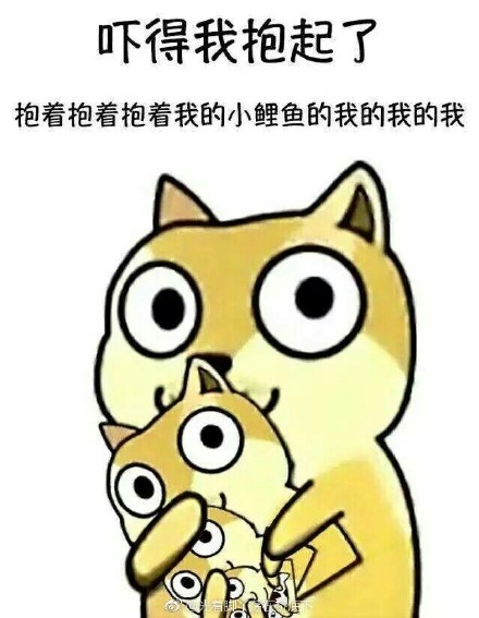 霍金警告人类不要尝试登月 背后的原因有点毛骨悚然(组图)  新闻资讯  第1张