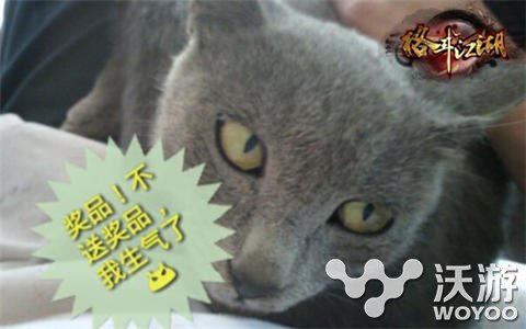 有宠你就晒出来《格斗江湖》玩家恶搞斗宠大赛 喵星 江湖 格斗 恶意 多说 表情 喵星人 格斗江湖 恶搞 宠物 新闻资讯  第2张