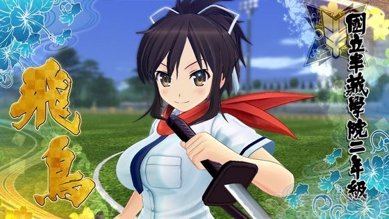 夏日福利 《闪乱神乐：少女们的选择》官方中文版公布  新闻资讯  第4张