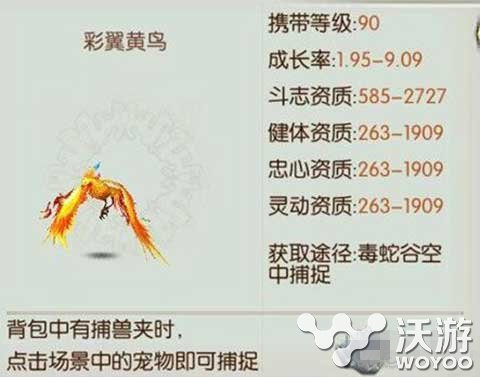 诛仙手游彩翼黄鸟捕捉地点位置解析 小伙伴 地点 捕捉 诛仙 黄鸟 诛仙手游 新闻资讯 第1张 诛仙手游彩翼黄鸟捕捉地点位置解析 小伙伴 地点 捕捉 诛仙 黄鸟 诛仙手游 新闻资讯 第1张