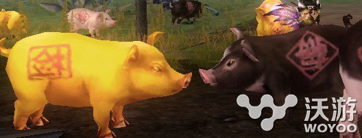 御龙在天手游家族养猪玩法详解 中立 约战 小猪 屠杀 美妙 猎杀 开战 集结 国外 小伙伴 龙在天 御龙在天 御龙在天手游 御龙 养猪 家族 新闻资讯 第1张 御龙在天手游家族养猪玩法详解 中立 约战 小猪 屠杀 美妙 猎杀 开战 集结 国外 小伙伴 龙在天 御龙在天 御龙在天手游 御龙 养猪 家族 新闻资讯 第1张