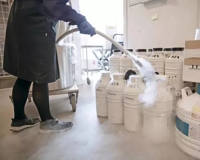 探访世界最大精子银行 寒冰里孕育的新生（组图）  新闻资讯  第8张