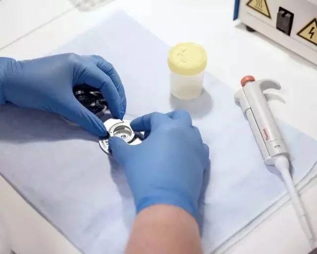 探访世界最大精子银行 寒冰里孕育的新生（组图）  新闻资讯  第6张