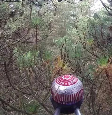 送蛋糕往返太空 40分钟的“旅途”被全程直播 媒体 气球 氢气 苏格 着陆 公园 90分钟 蛋糕 太空 飞行 新闻资讯  第2张