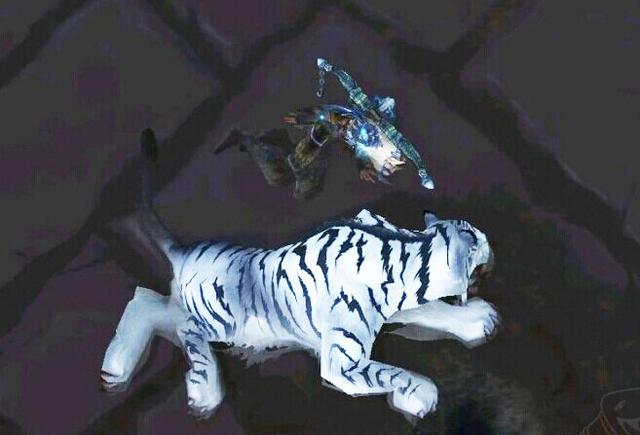魔兽世界盘点：游戏中五大职业神技Top5 法师 副本 猎人 暴雪 无敌 神圣 圣骑士 魔兽世界 魔兽 骑士 新闻资讯  第3张