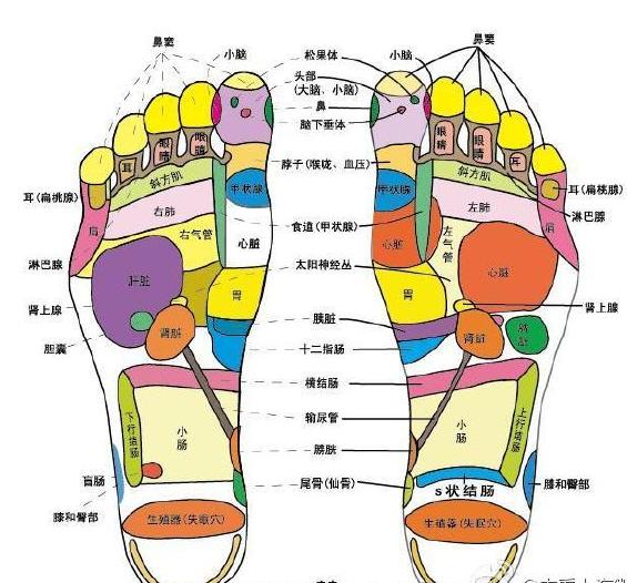 夏季脚臭的尴尬怎么办？只需三分钟！轻松解决夏季脚臭脚汗 妙招 降温 加点 p5 p4 p3 意想不到 萝卜 脚趾 三分钟 新闻资讯  第2张