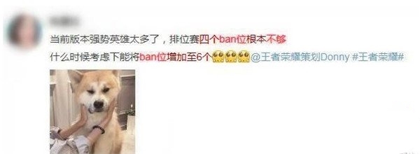 王者荣耀S9赛季强势英雄盘点 请求BAN位能多增加几个！ 小伙伴 百里 女娲 除此之外 哪吒 关羽 崛起 排位 扁鹊 露娜 新闻资讯  第4张