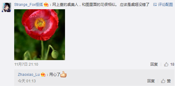 王者荣耀英雄主打歌线索清晰 呼声最高的是虞姬和毛不易！ 女英 明日 美女 开黑 海报 猜测 最高 线索 虞姬 王者荣耀 新闻资讯  第3张
