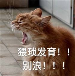 王者荣耀手游中有哪些排位套路？虞姬加妲己的招数屡试不爽 太一 王昭君 昭君 东皇太一 排位赛 王者荣耀手游 王者荣耀 虞姬 妲己 排位 新闻资讯  第3张