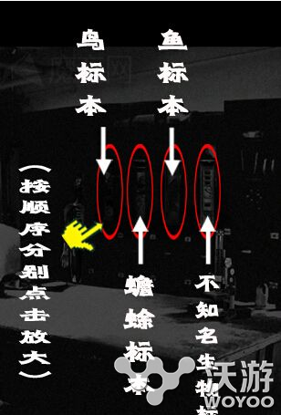 被遗弃的中学第8关攻略介绍 一个人 一开始 不详 处于 高能 告诉 解密 解密游戏 冒险 十次 细胞 音信 人体标本 人体 小伙伴 恐怖 放大 图文 桌子 遗弃 新闻资讯  第2张