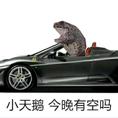 抖音小天鹅今晚有空吗动态图 我想 午后 音乐 世界上 整理 body 抖音 今晚 小天鹅 小天 新闻资讯  第2张