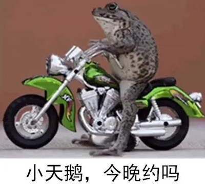 抖音小天鹅今晚有空吗动态图 我想 午后 音乐 世界上 整理 body 抖音 今晚 小天鹅 小天 新闻资讯  第3张