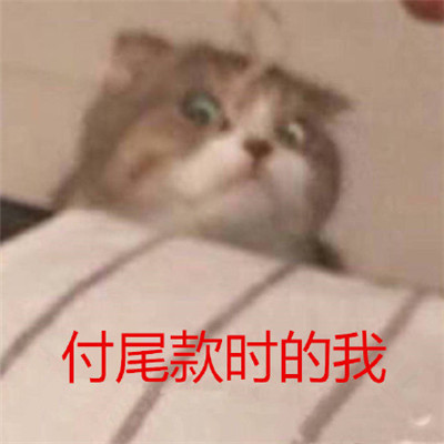 抖音尾款人表情包 软件园 网上购物 热门音乐 天猫双十一 整理 双十一 body 表情包 表情 抖音 新闻资讯  第4张