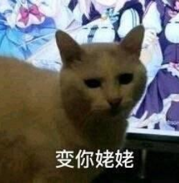 抖音姥姥也行，快给我变是什么梗 软件园 小可爱 主人 body 猫娘 动漫 表情包 表情 抖音 姥姥 新闻资讯  第2张