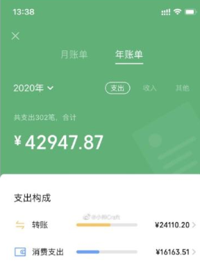 2020年度账单在哪里看 整理 图图 年末 截图 刚刚 支付宝 小伙伴 软件园 新闻资讯  第10张