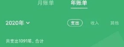 2020年度账单在哪里看 整理 图图 年末 截图 刚刚 支付宝 小伙伴 软件园 新闻资讯  第13张