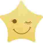 星愿浏览器绿色版