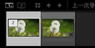 Nik Collection中文版(PS滤镜插件套装) 破解版软件 破解版 11 10 Nik 图象 调节 ps 滤镜 ps滤镜 软件下载 第3张 Nik Collection中文版(PS滤镜插件套装) 破解版软件 破解版 11 10 Nik 图象 调节 ps 滤镜 ps滤镜 软件下载 第3张