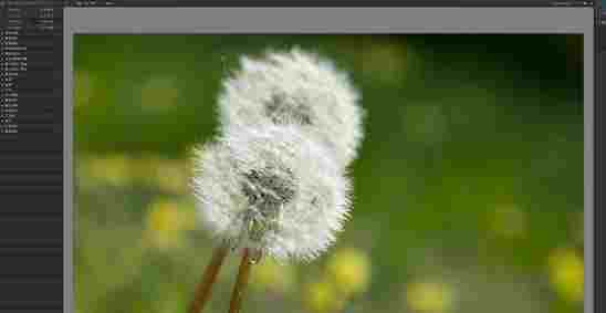 Nik Collection中文版(PS滤镜插件套装) 破解版软件 破解版 11 10 Nik 图象 调节 ps 滤镜 ps滤镜 软件下载 第5张 Nik Collection中文版(PS滤镜插件套装) 破解版软件 破解版 11 10 Nik 图象 调节 ps 滤镜 ps滤镜 软件下载 第5张