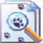 EF Find最新版(文件搜索工具)