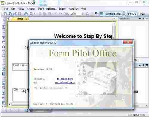 Form Pilot Office绿色版(电子表格扫描识别工具)截图1