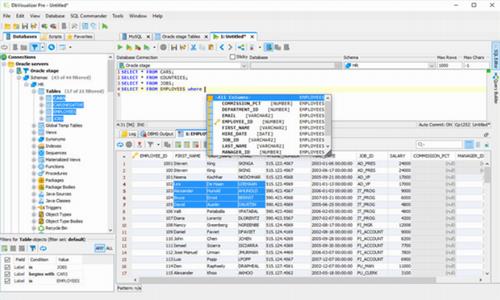 DbVisualizer Pro(数据库管理工具) Pro in DbVisualizer bv Visual strong 2 on 数据库 SQL 软件下载  第1张