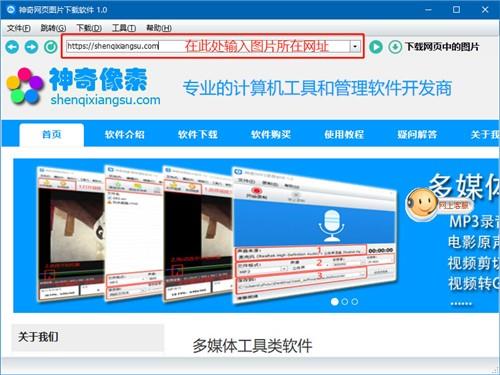 神奇网页图片下载软件截图1