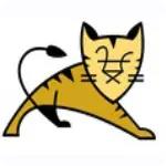 apache tomcat(Web服务器) apache tomcat(Web服务器)
