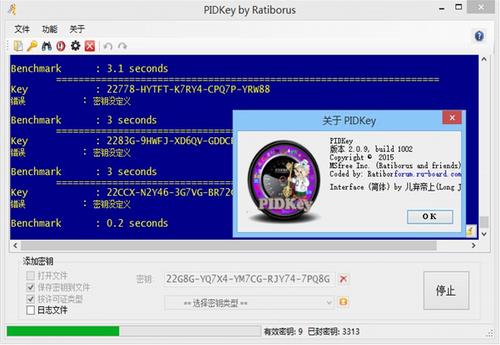 PIDKey中文版(密钥批量检测工具) in 中文 PIDKey Key 文件 strong ID on 2 密匙 软件下载  第1张