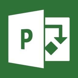 Microsoft Project 2021(项目管理软件)