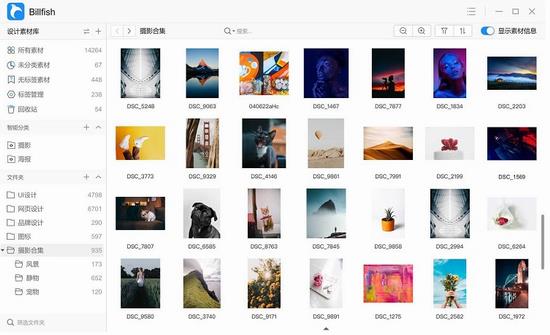 billfish素材管理工具 2023 9 文件夹 in as 文件 fish 2 strong on 软件下载  第1张