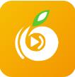 橘子汅版影视直播APP