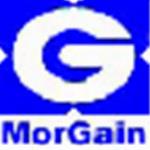 Morgain破解版(建筑结构设计软件) Morgain破解版(建筑结构设计软件)