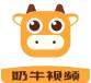 奶牛视频汅版直播在线看 奶牛视频汅版直播在线看