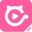猫咪精品丝瓜直播无限APP 猫咪精品丝瓜直播无限APP