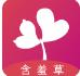 含羞草永久视频汅版直播在线APP 含羞草永久视频汅版直播在线APP